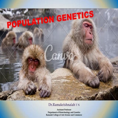Population genetics 2