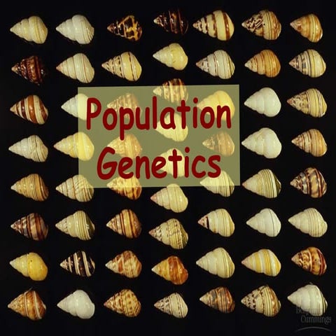 population genetics Ega.power point presentation