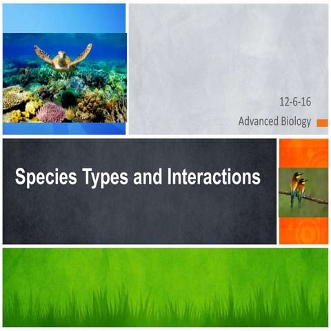 Population interactions and special species types