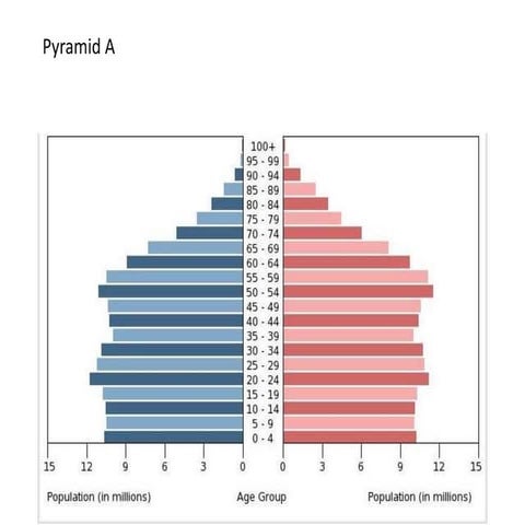Population pyramid ib case studies