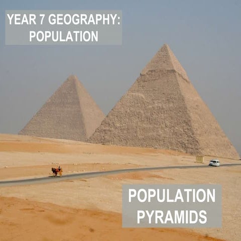 Year 7 Geography Population Pyramids