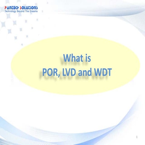 What is POR,LVD,WDT ?