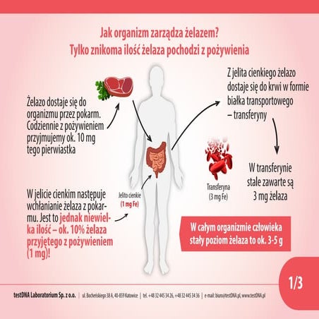 Nadmiar żelaza [PORADNIK]