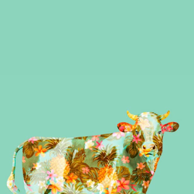 Programación Escorxador