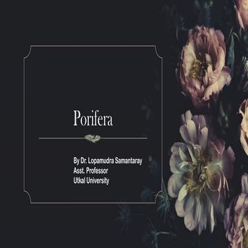 Reproduction in Porifera (types of sponges).pptx