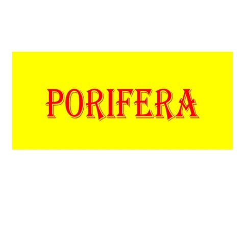 General characters and classification of Porifera.pptx