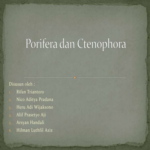 Porifera dan ctenophora (power point)