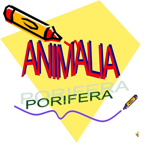 Porifera kelompok 2