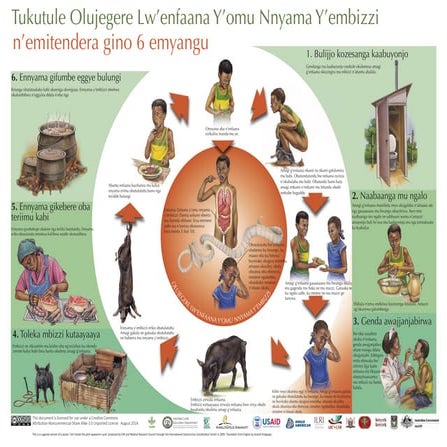 Tukutule Olujegere Lw’enfaana Y’omu Nnyama Y’embizzi