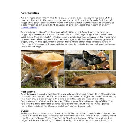 Breeds of swine | PDF