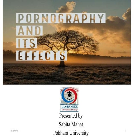 Pornograpy and Its Effects