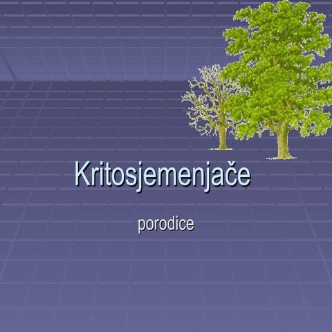 Porodice krito 