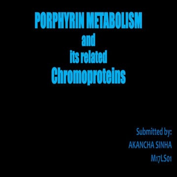 Porphyrin metabolism