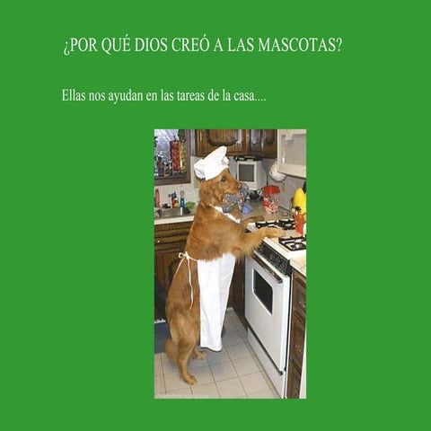 Porque dios creo a las mascotas