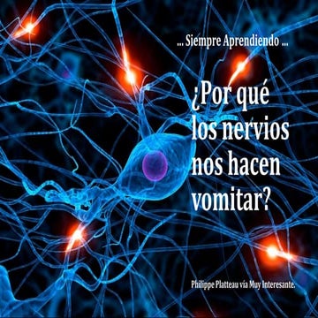 Por qué los nervios nos hacen vomitar