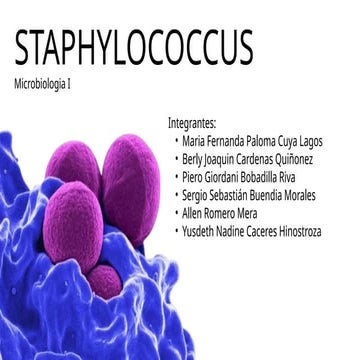 Por Sandra Haro Octubre 2023_080055.pptx