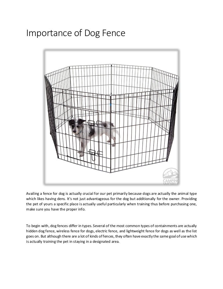 portable dog fence for camping