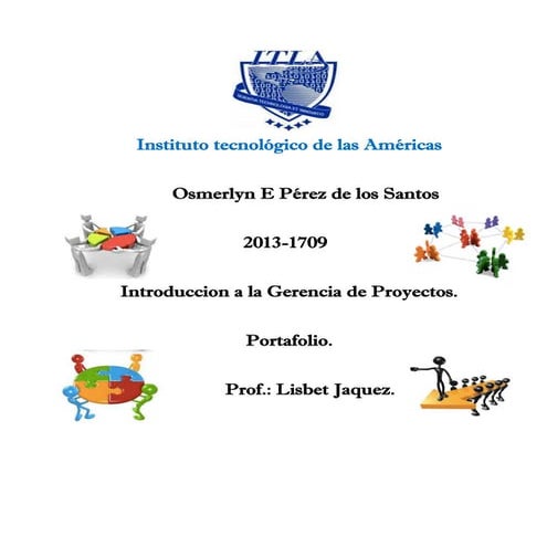 Temas para la gerencia de proyectos -Portafolio-