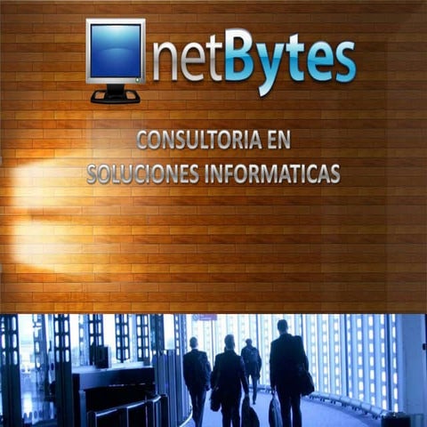 Portafolio netBytes 2012