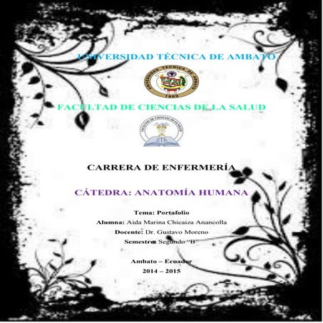 Portafolio anatomia