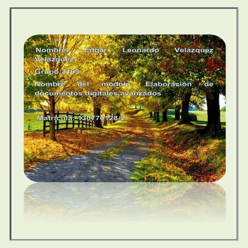 Portafolio de evidencias