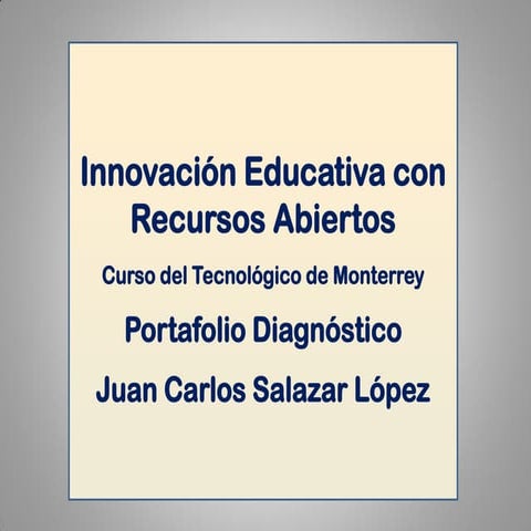 Portafolio diagnóstico REA Juan Carlos Salazar