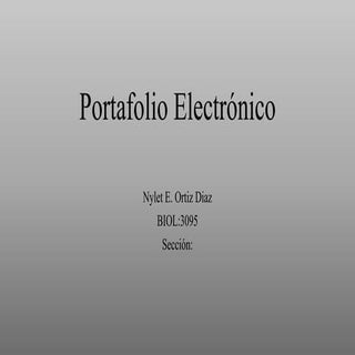 Portafolio electrónico