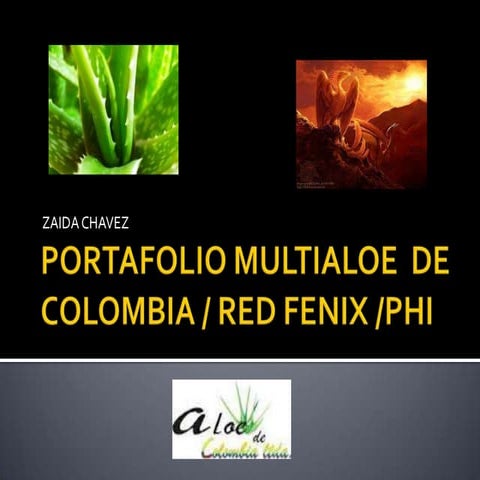 Portafolio multialoe  mas organizado
