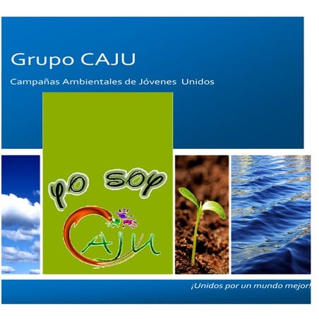 Participación juvenil en torno al cuidado del medio ambiente - Joaquín ...
