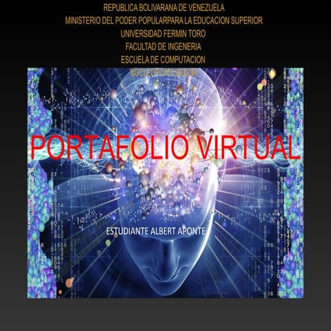 Portafolio virtua lalbertaponte