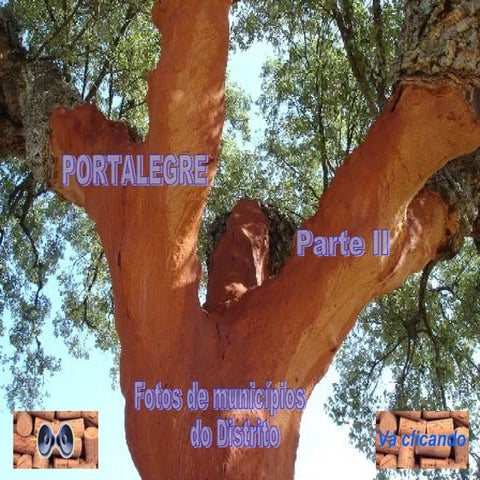 Portalegre ii-