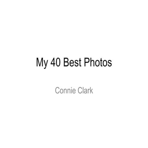 Electronic Portfolio 