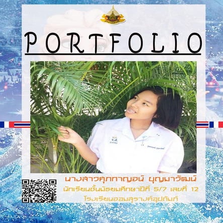 Portfolio