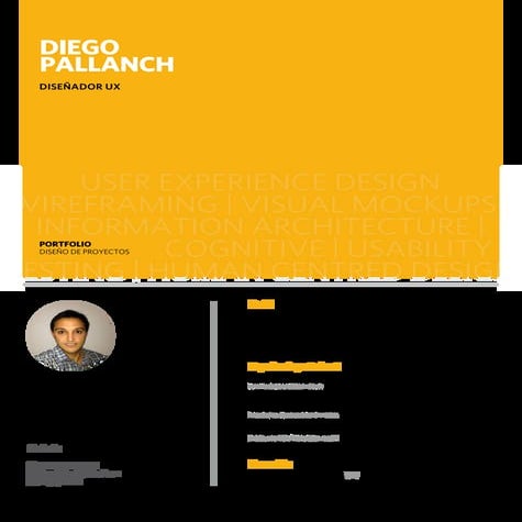 Portfolio Diego Pallanch UX Designer