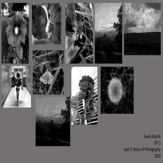 Susan Kulasik Unit 1 Photography Ba...