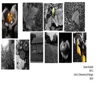 Susan Kulasik Unit 2 Elements of De...