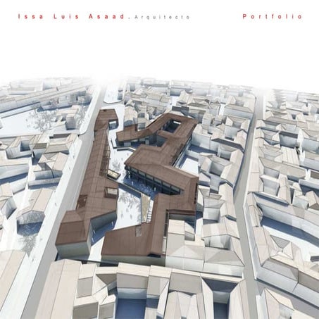 Portfolio_Issa Luis Asaad