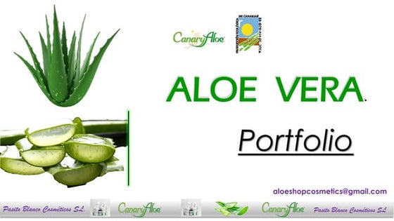 Resultado de imagen de Di adiós a Acne con Aloe Vera: Tu Salvador de Skincare infografías