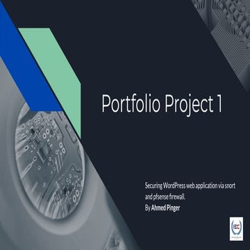 Portfolio Project PPT.pdf
