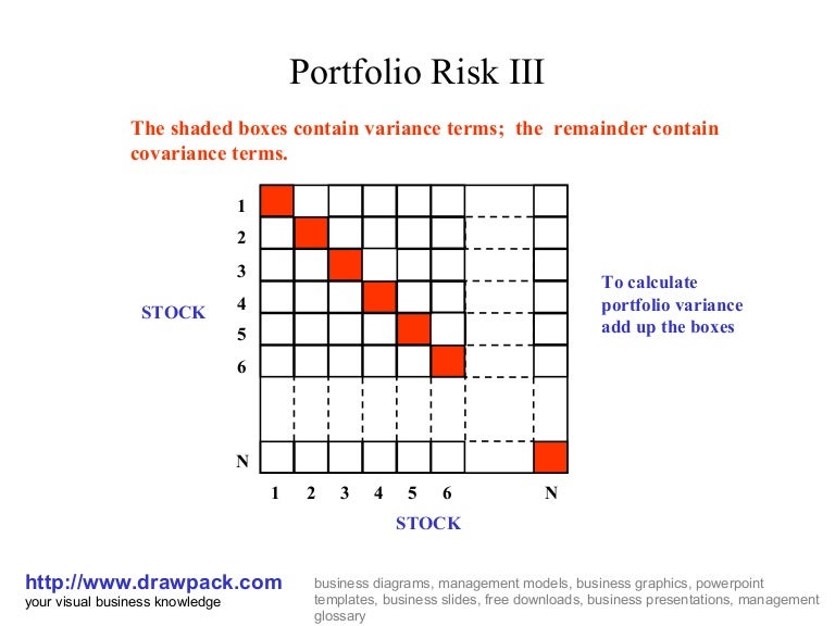 what is a portfolio risk example