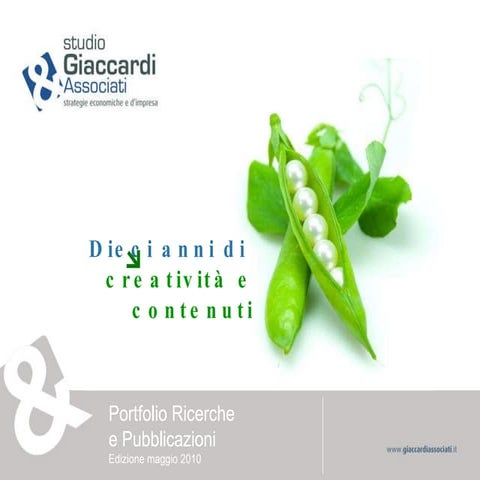 Portfolio ricerche e
