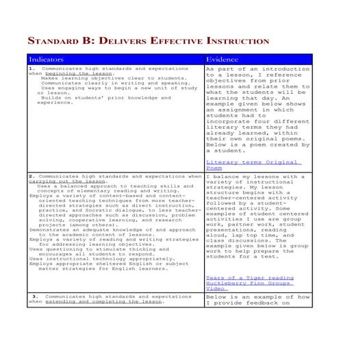 Portfolio Standard B