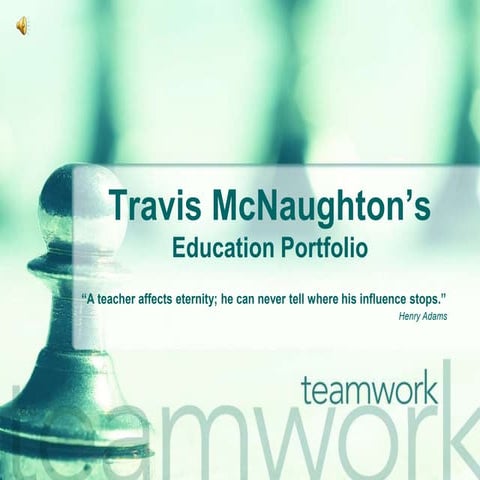 Portfolio Travis McNaughton