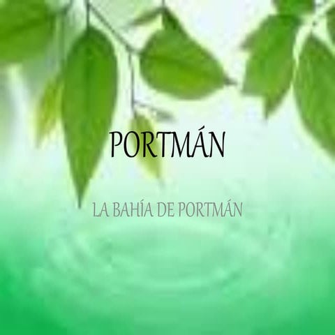 Portman marcos