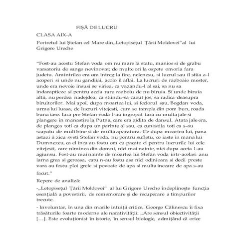 Portretul lui Stefan cel Mare.doc