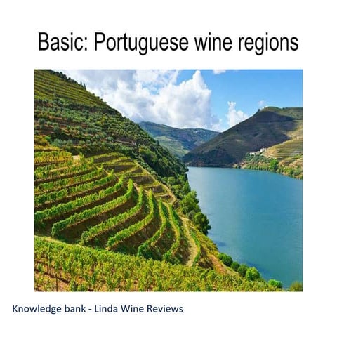 Basic: Portuguese wine regions