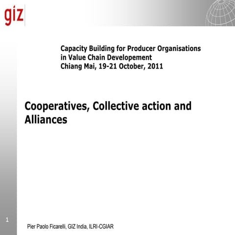 Producer Organisations and value chains