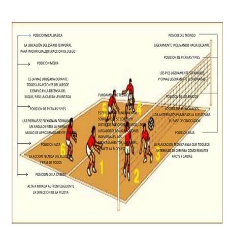 POSICION INICIAL BASICA