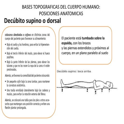 Posiciones anatomicas | PPTX