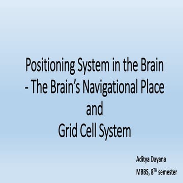 Positioning system in the brain the brain’s navigational place [autosaved]